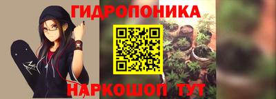 прущие крисы Кунгур